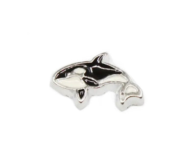 Orca