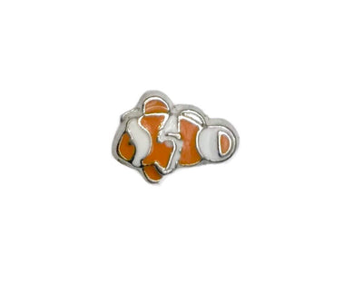 Clown fish