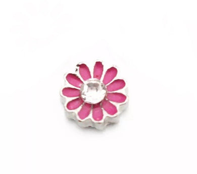 Little pink daisy