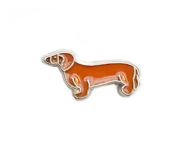 Dachshund Dog