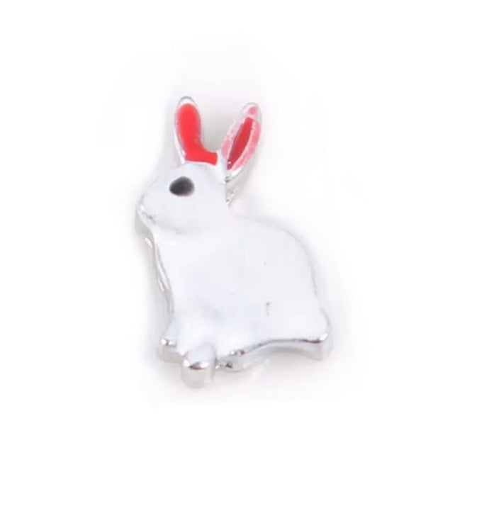 White rabbit