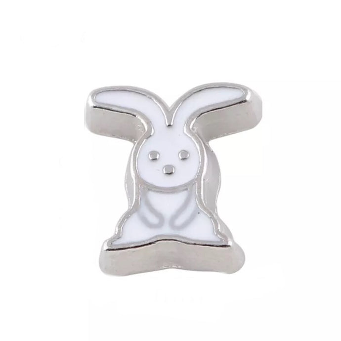 Bunny Rabbit