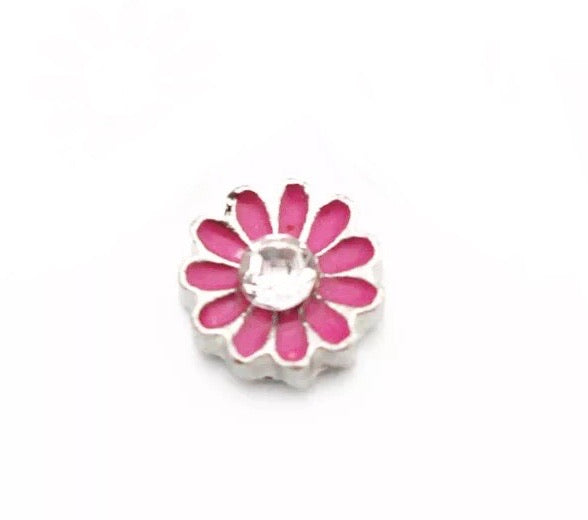 Little pink daisy