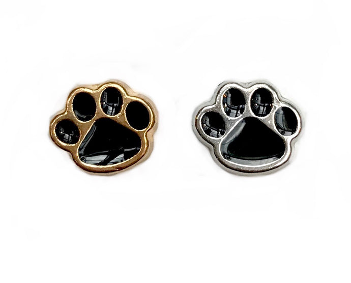 Dog paws