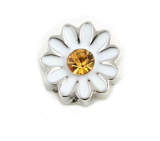 Daisy