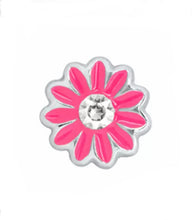 Dark pink daisy