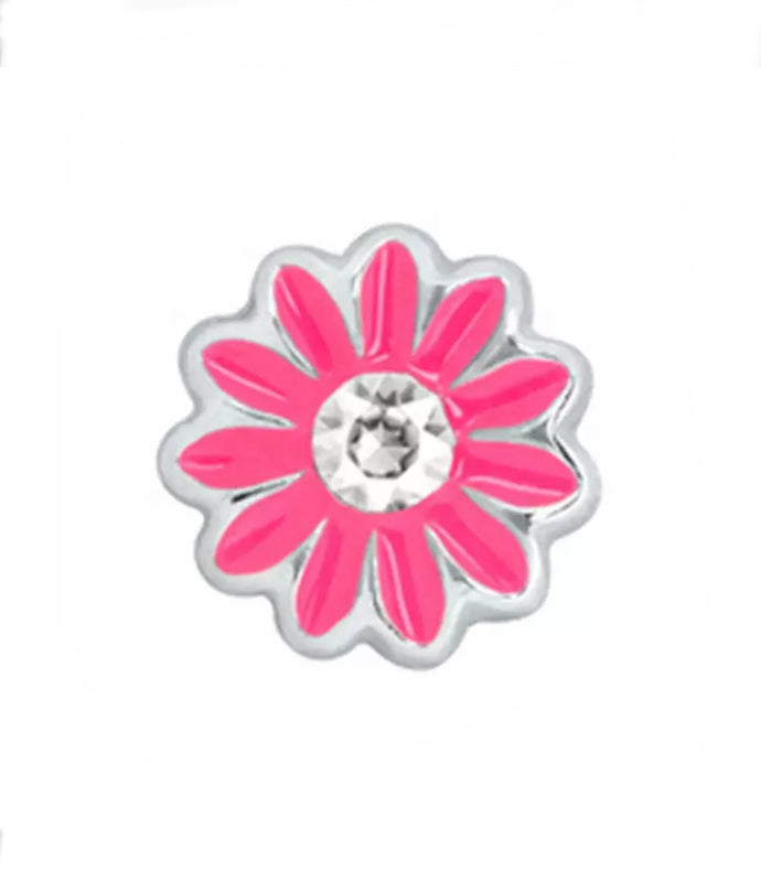 Dark pink daisy